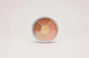 All Skin Magic Wheel Concealer