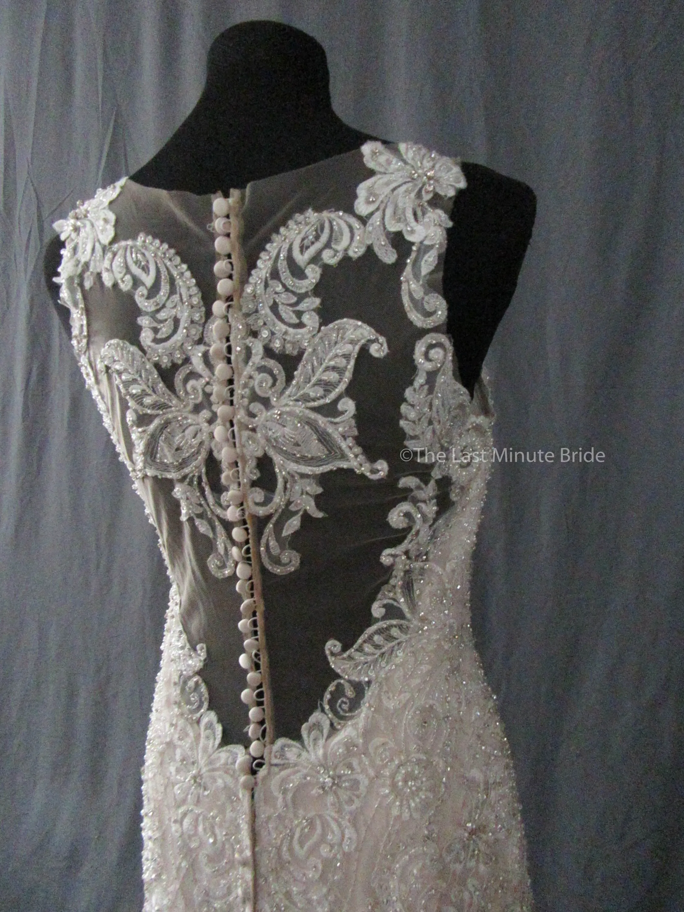 Allure Bridals Style C402