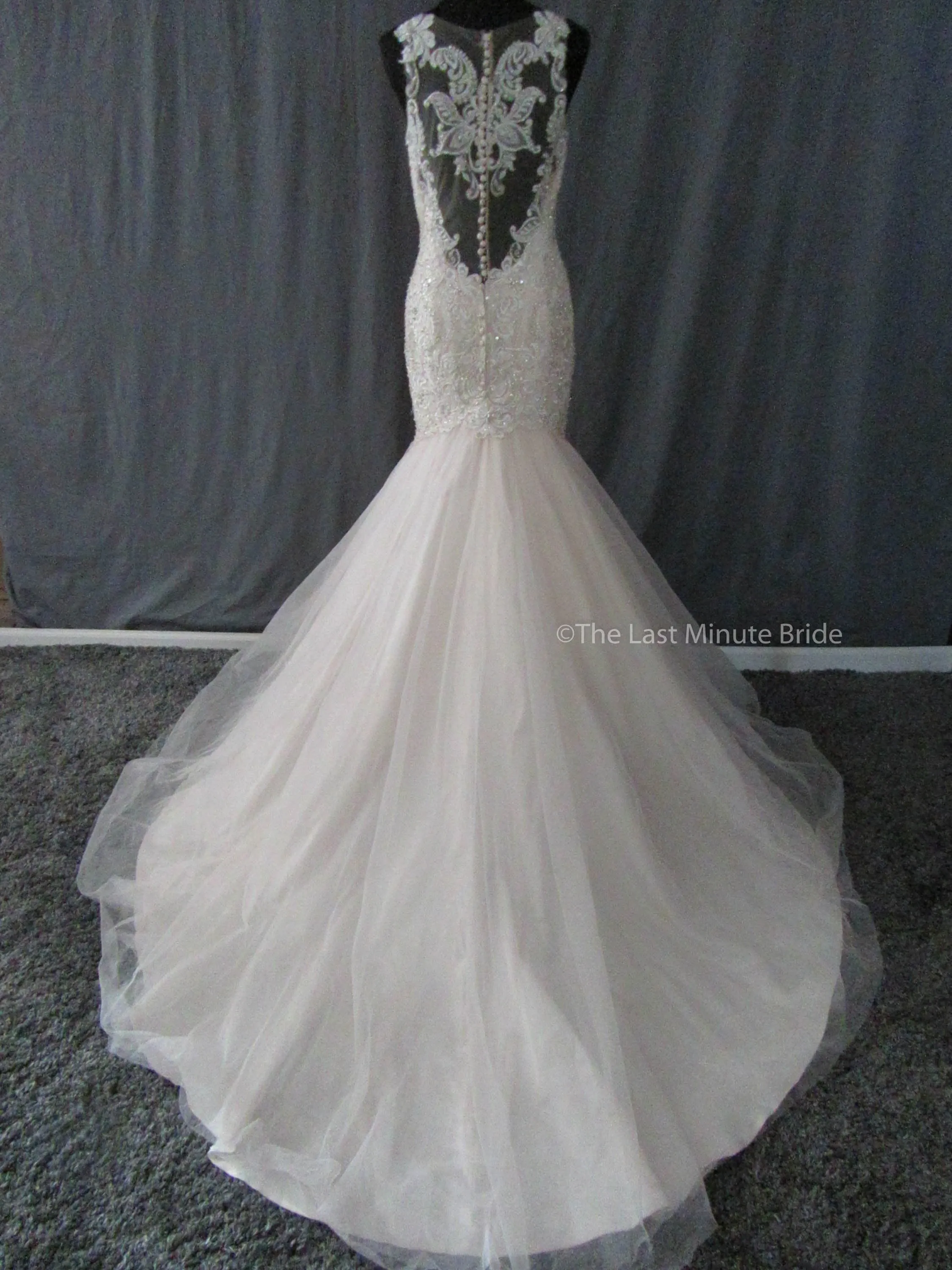 Allure Bridals Style C402