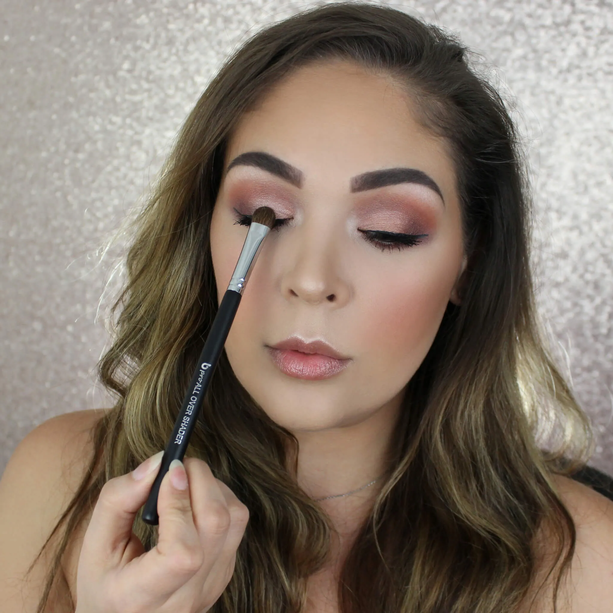 Basic Face Makeup Brush Set