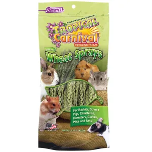 Brown's Tropical Carnival Wheat Sprays Foraging Treat