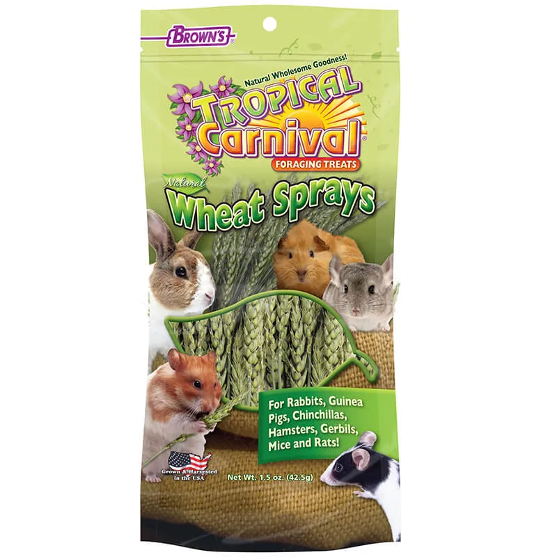 Brown's Tropical Carnival Wheat Sprays Foraging Treat