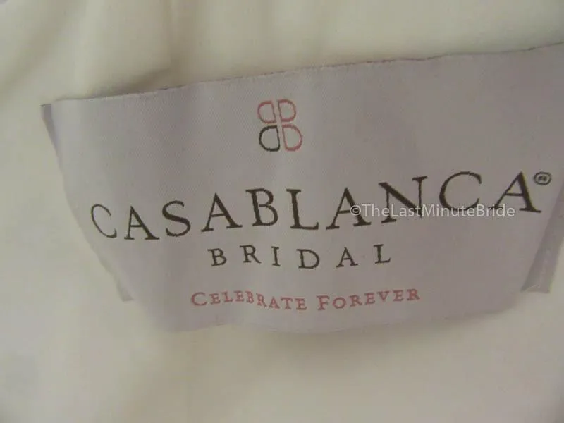 Casablanca Daffodil 2237