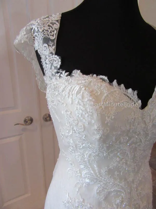 Casablanca Daffodil 2237