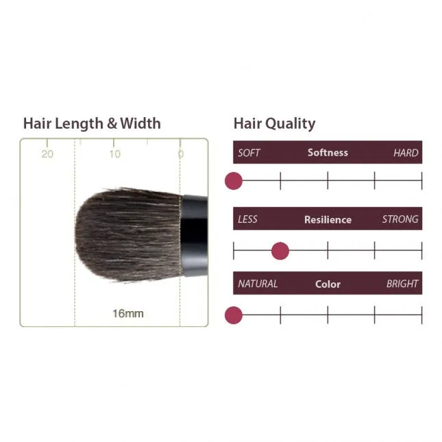 Chikuhodo Z-5 Eyeshadow Brush, Z Series