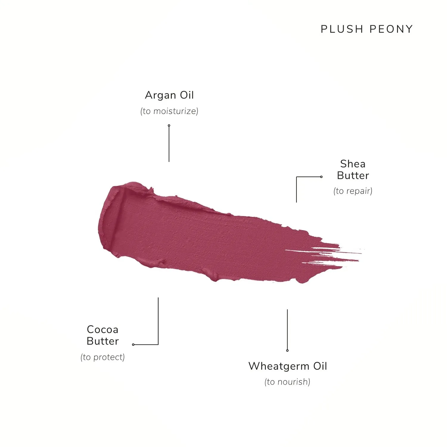 Clean Beauty & Spa New Collection-Creme Lipstick-Plush Peony-Fashion Edit Asa Beauty