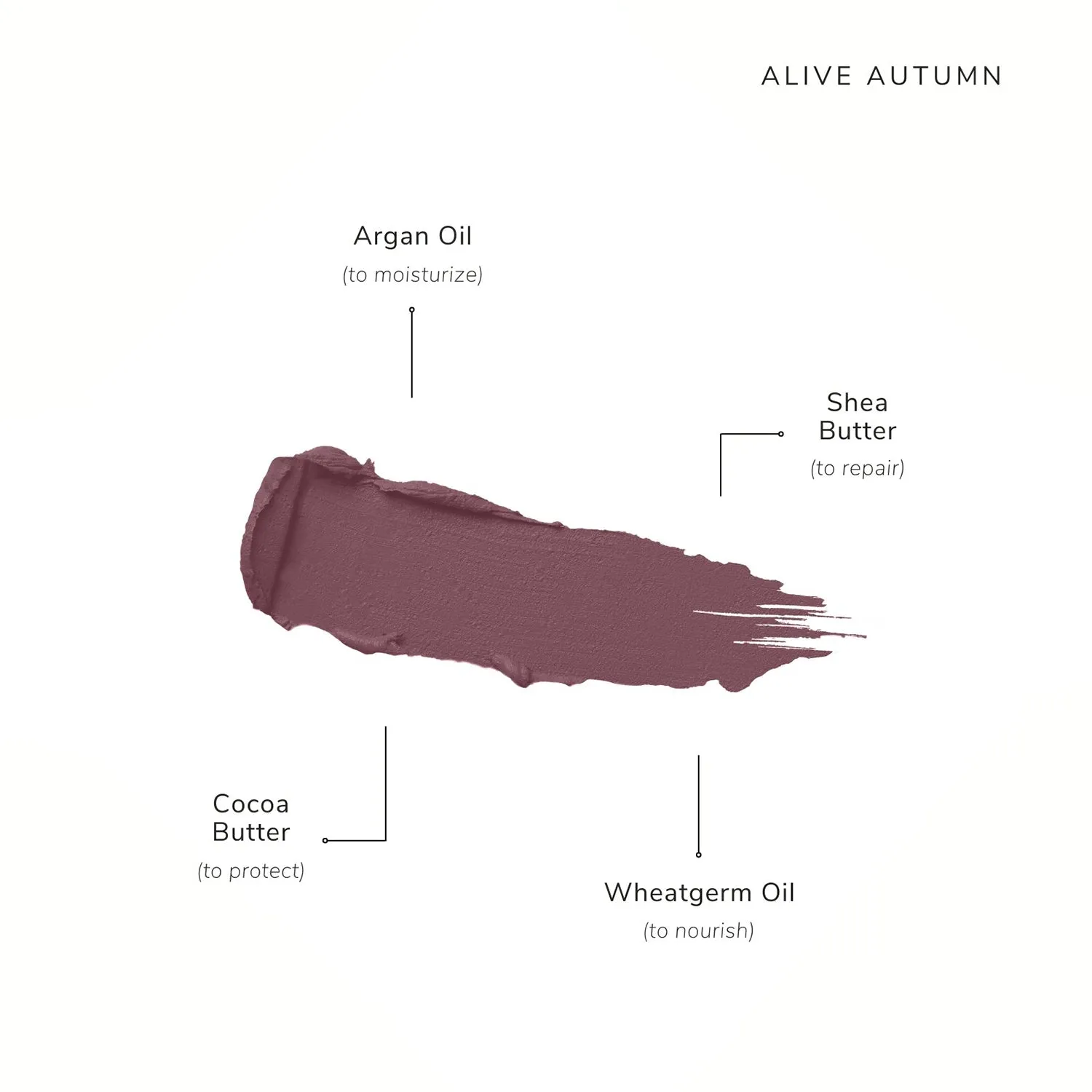 Clean Beauty & Spa New Collection-Hydra-Matte Lipstick Refill-Classic Cocoa-Fashion Edit Asa Beauty