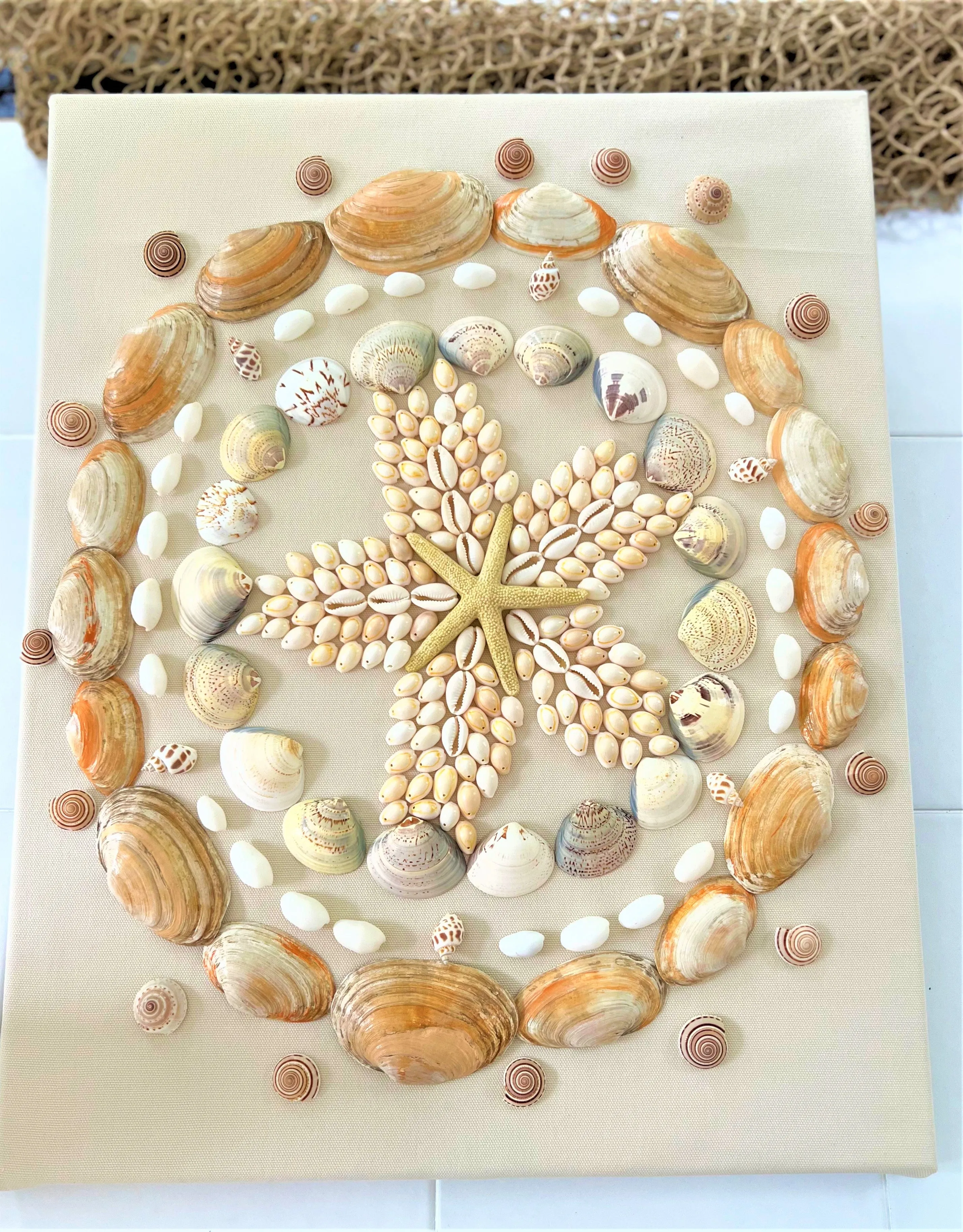 Coastal Wall Art Décor/ Sea Shell Art 16X20 Linen Canvas