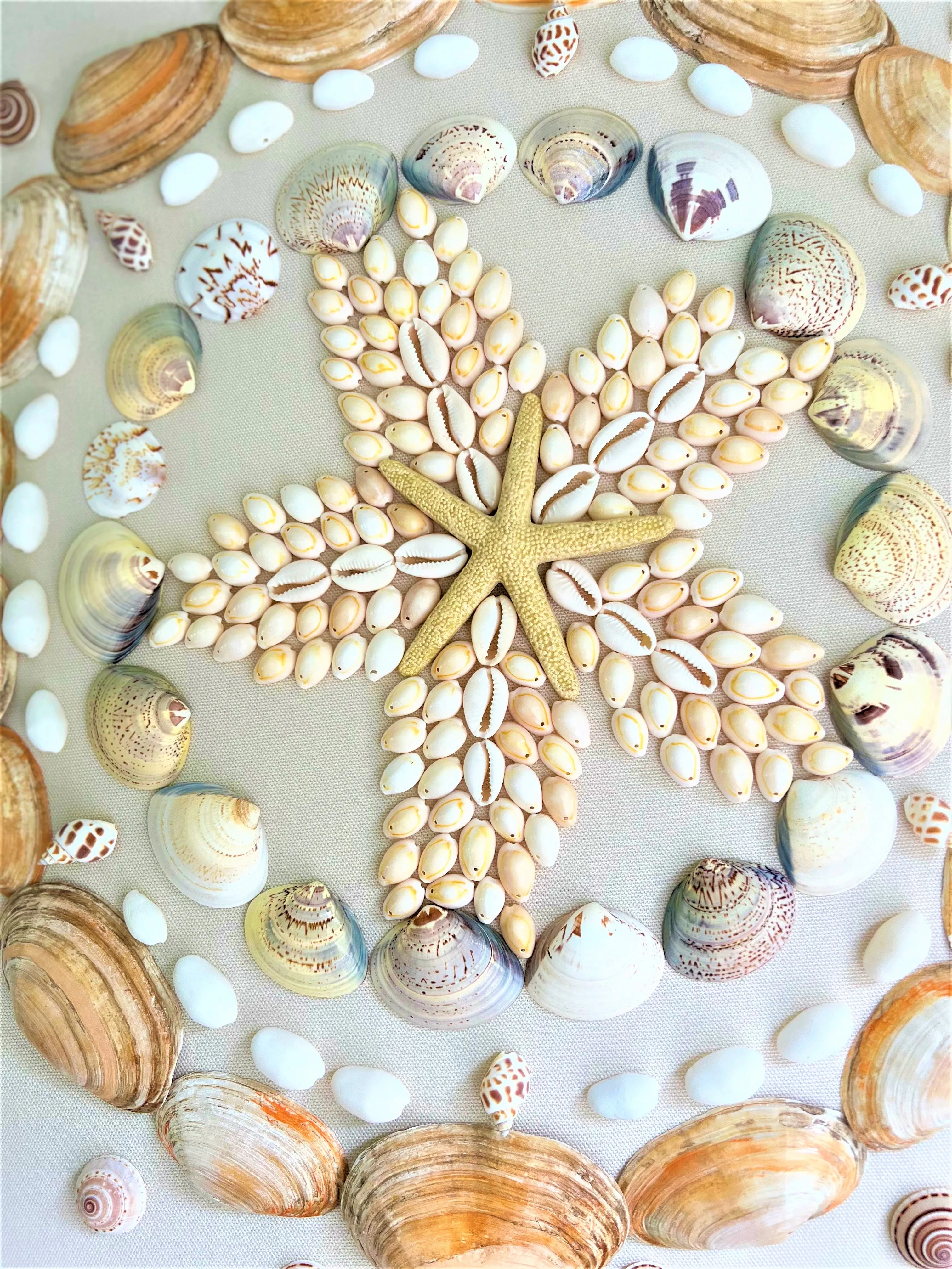 Coastal Wall Art Décor/ Sea Shell Art 16X20 Linen Canvas