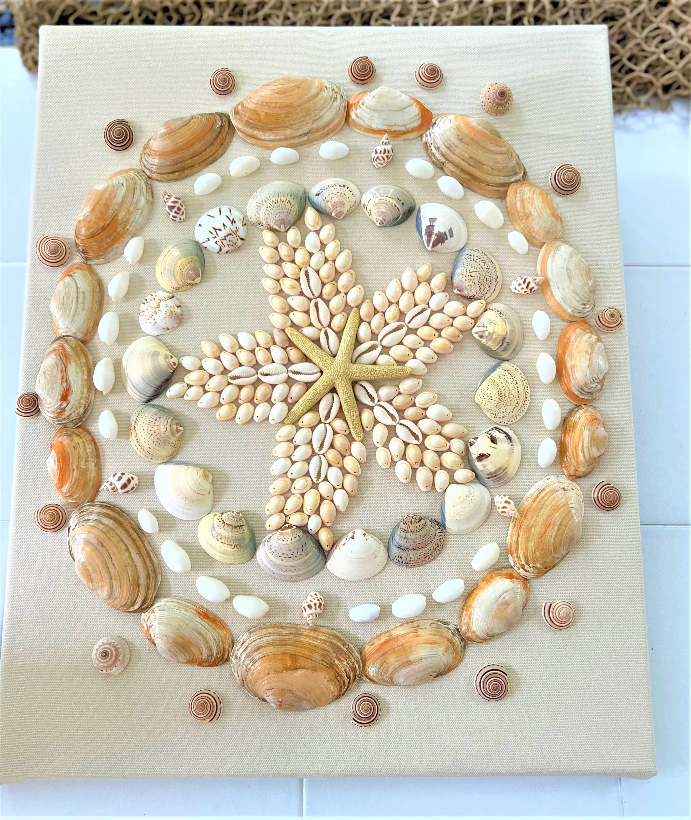 Coastal Wall Art Décor/ Sea Shell Art 16X20 Linen Canvas
