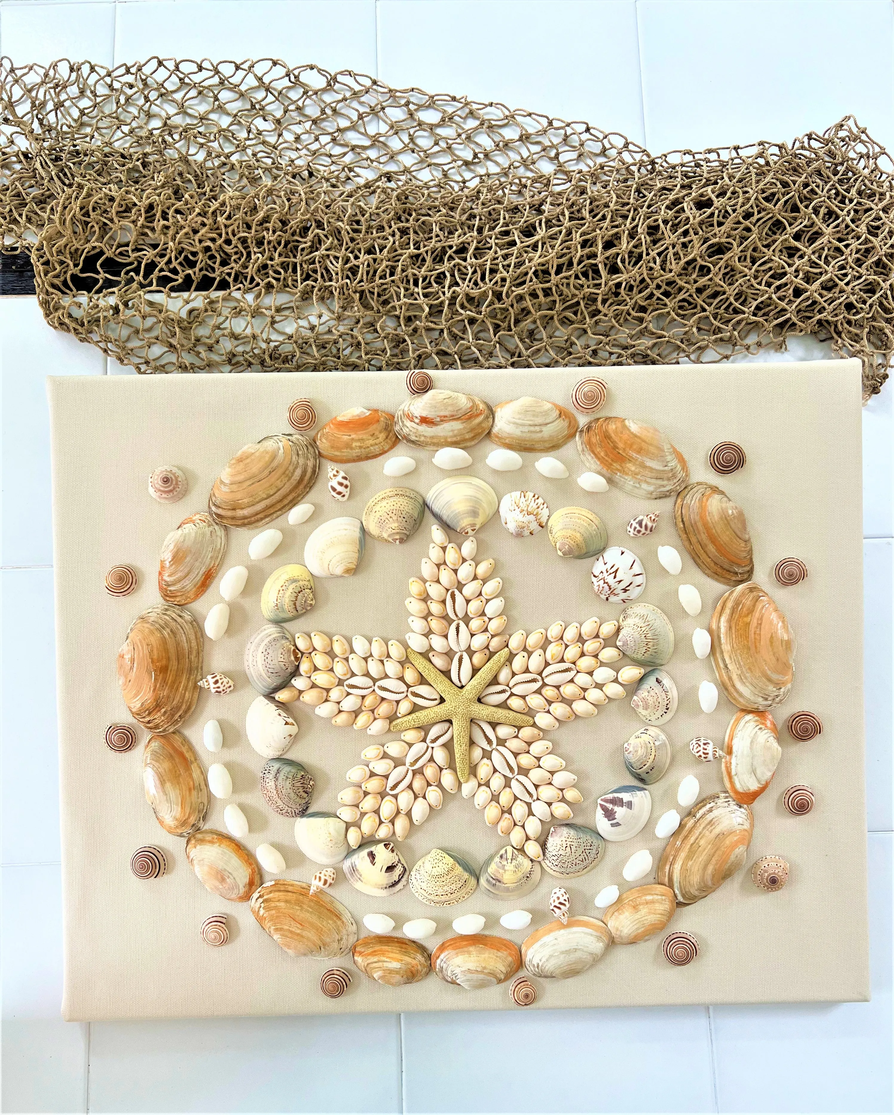 Coastal Wall Art Décor/ Sea Shell Art 16X20 Linen Canvas