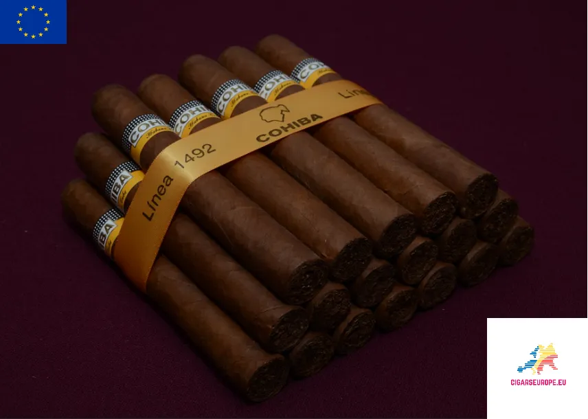 COHIBA Siglo VI | SLB Box of 25