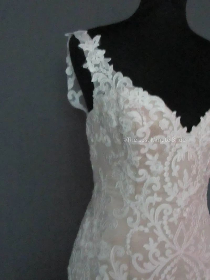 David Tutera Amber 117268