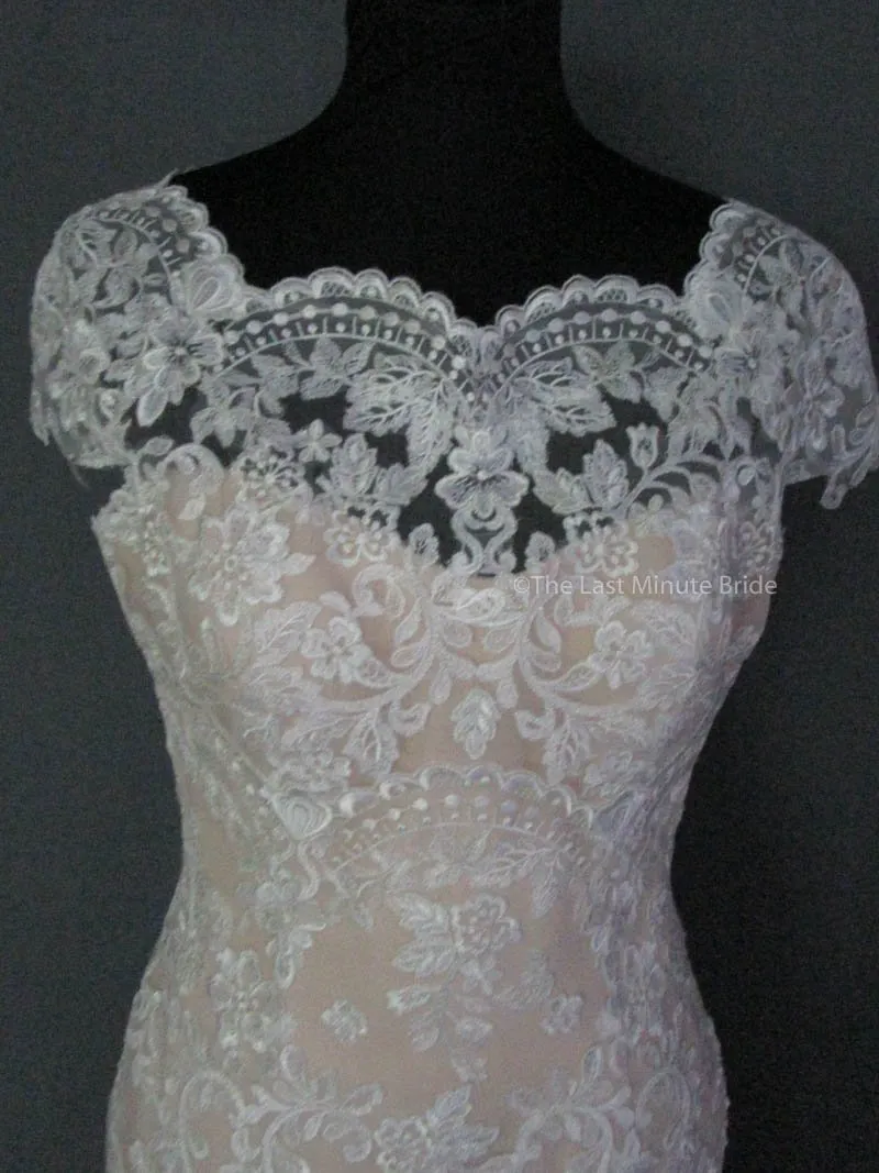 David Tutera Zerrin 117291