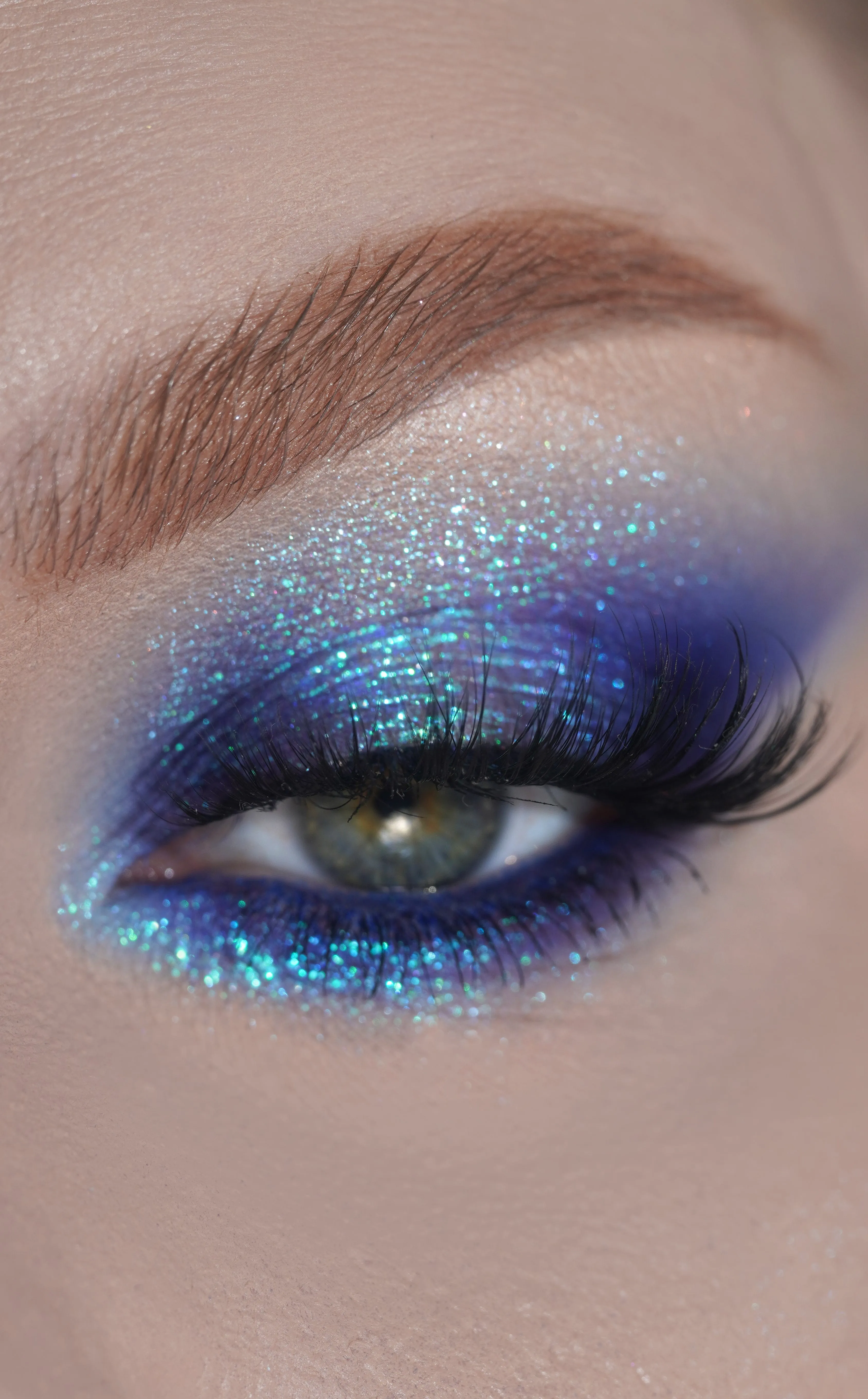 Dreamers Delight Collection