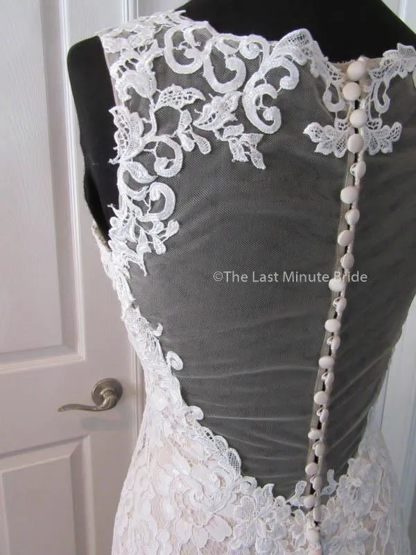 Ella Rosa by Kenneth Winston Be356