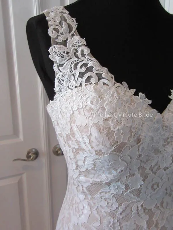 Ella Rosa by Kenneth Winston Be356