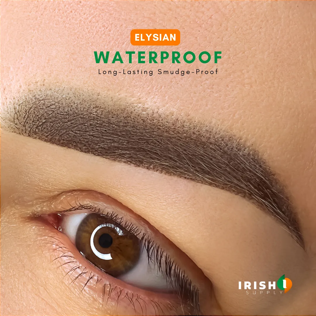 ELYSIAN Brow Stencil Kit