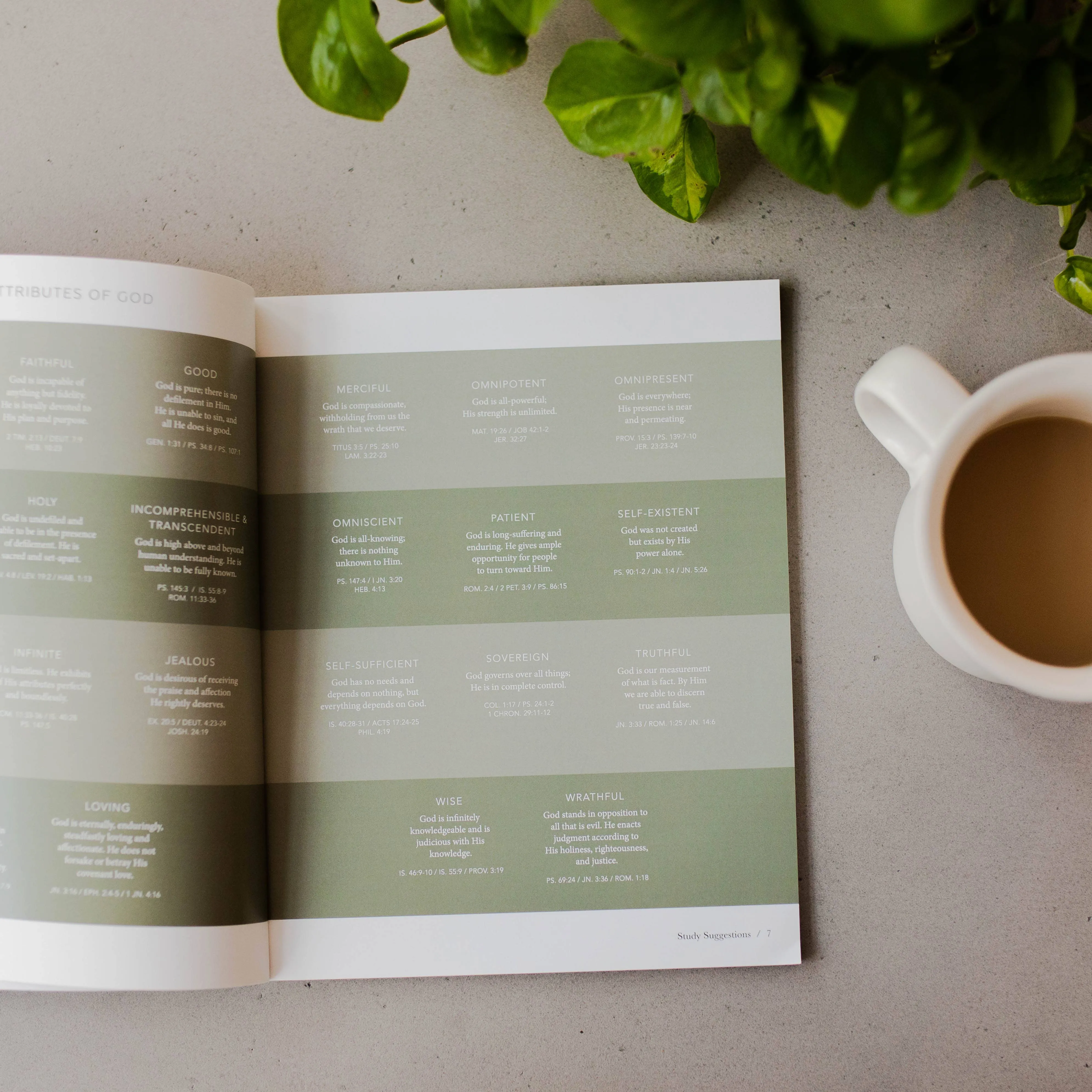 Faith Foundations | A Study on the Basics of Christianity