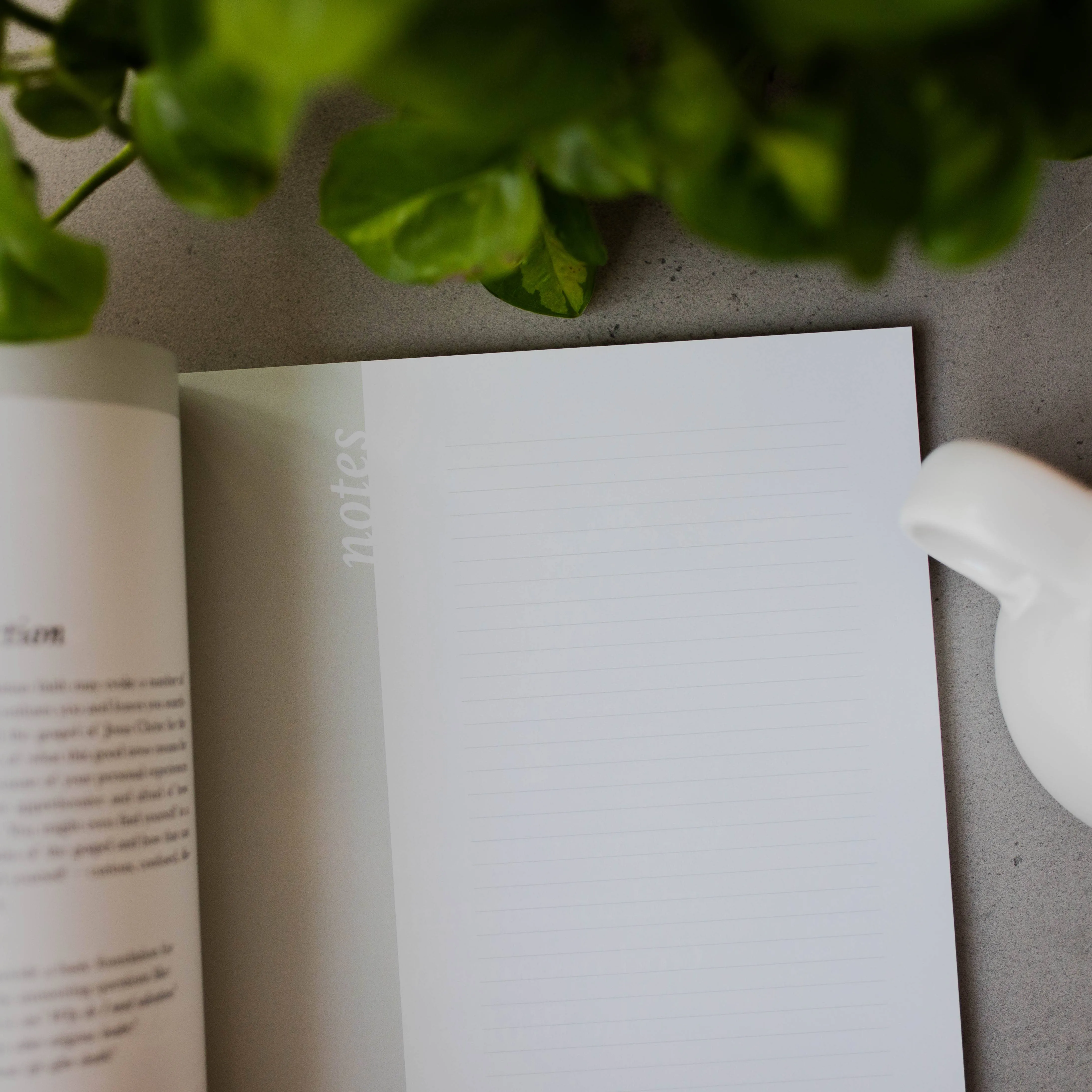 Faith Foundations | A Study on the Basics of Christianity