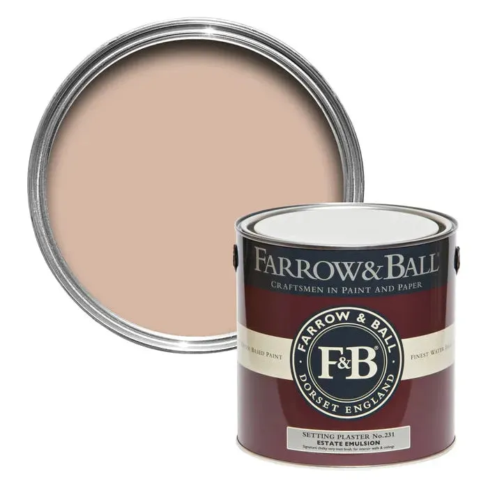 Farrow & Ball Setting Plaster Paint 231