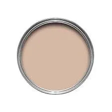 Farrow & Ball Setting Plaster Paint 231