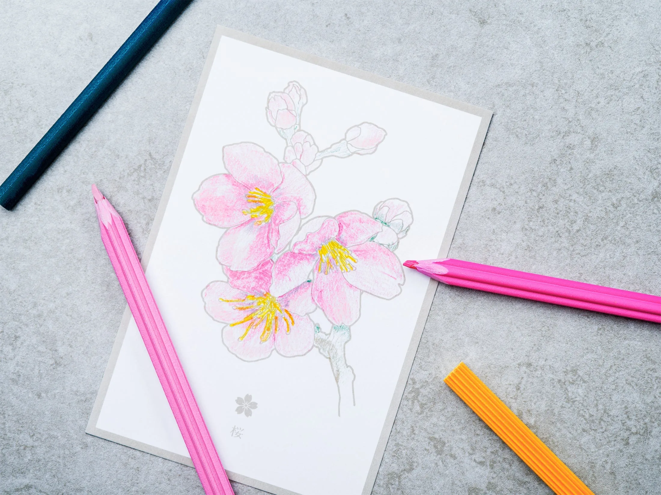 Flower Post Card