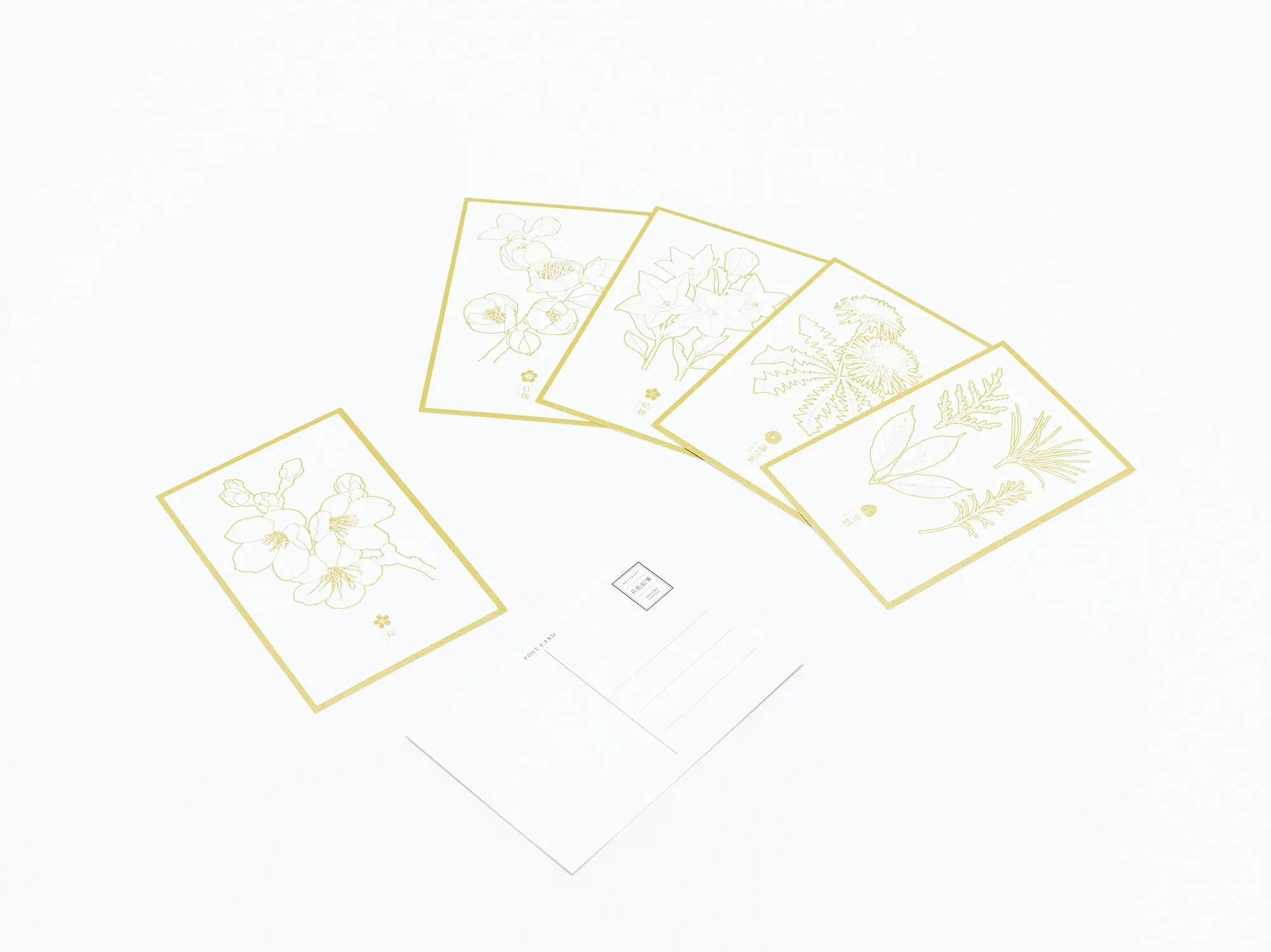 Flower Post Card