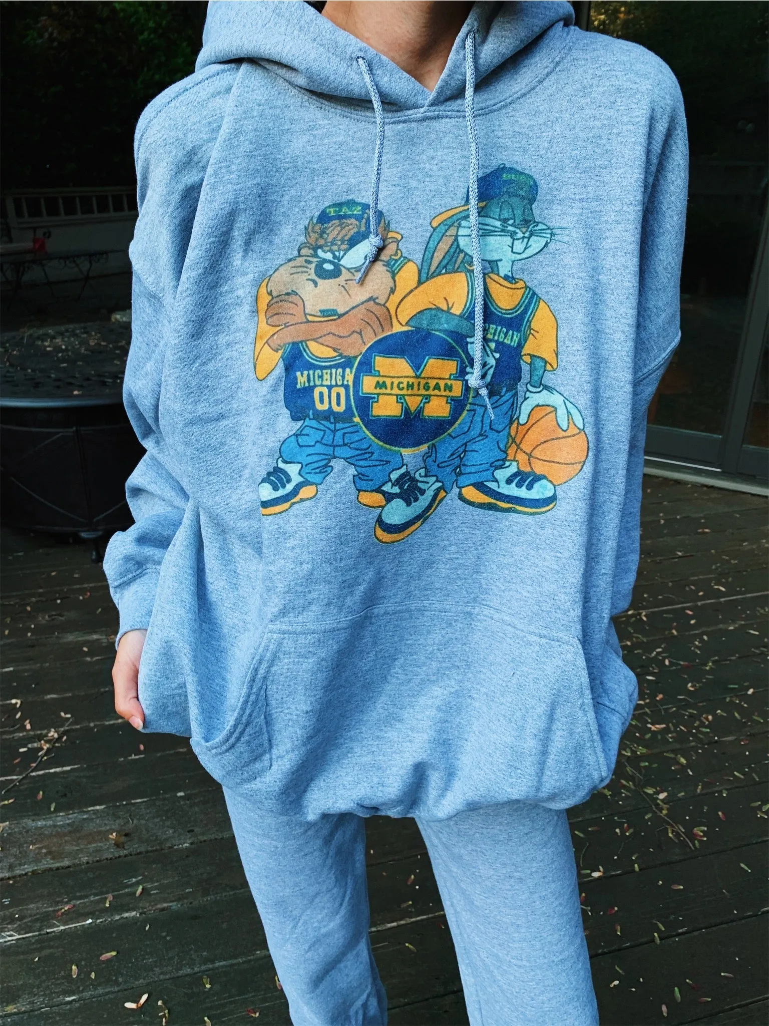 Grey Michigan Looney Tunes Hoodie