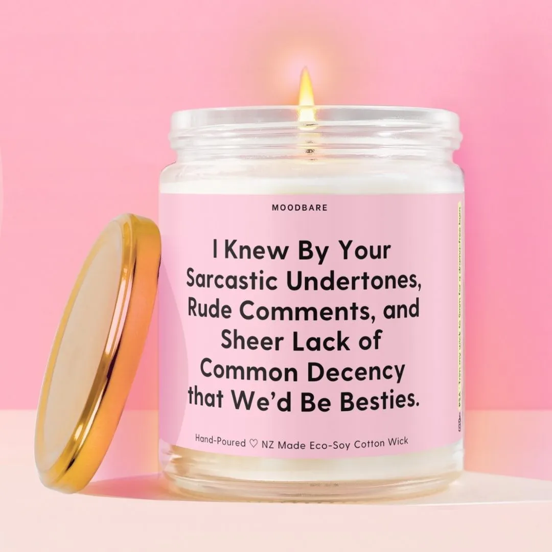 I Knew By Your Sarcastic Undertones, Rude Comments, and Sheer Lack of Common Decency that We’d Be Besties.