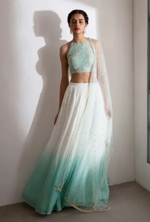 Ivory Green Lite Floral Lehenga Set