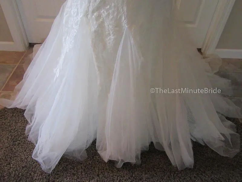 La Sposa Haemo