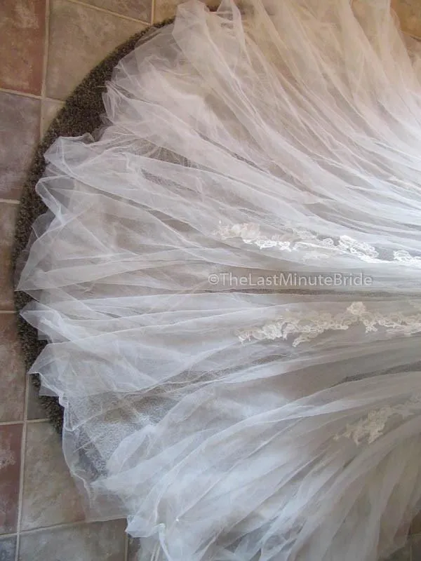 La Sposa Haemo