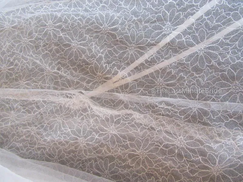 La Sposa Haemo