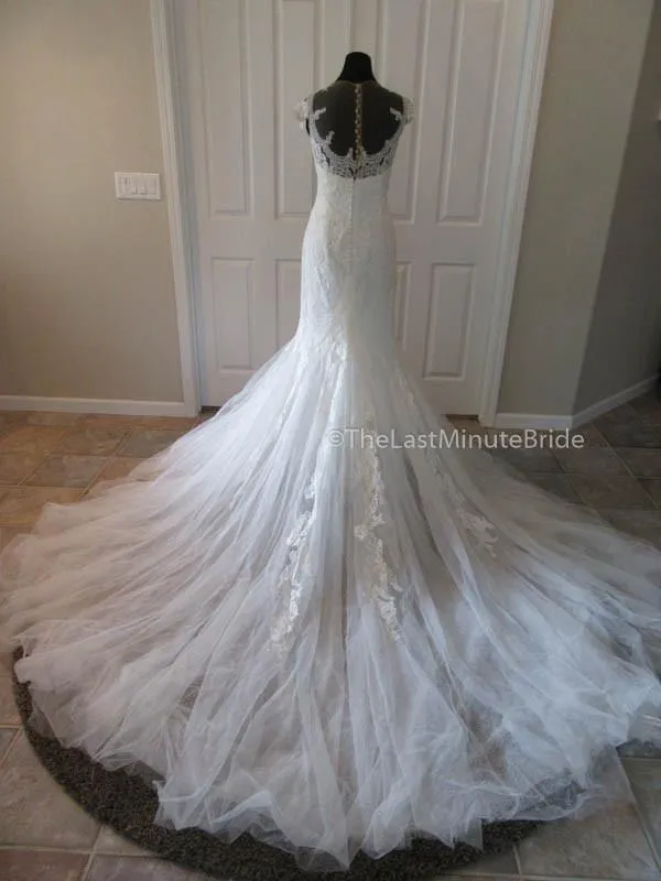 La Sposa Haemo