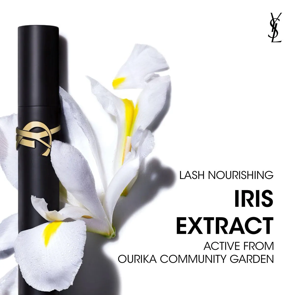 Lash Clash Mascara & Loveshine - Mother's Day 2025 Gift Set