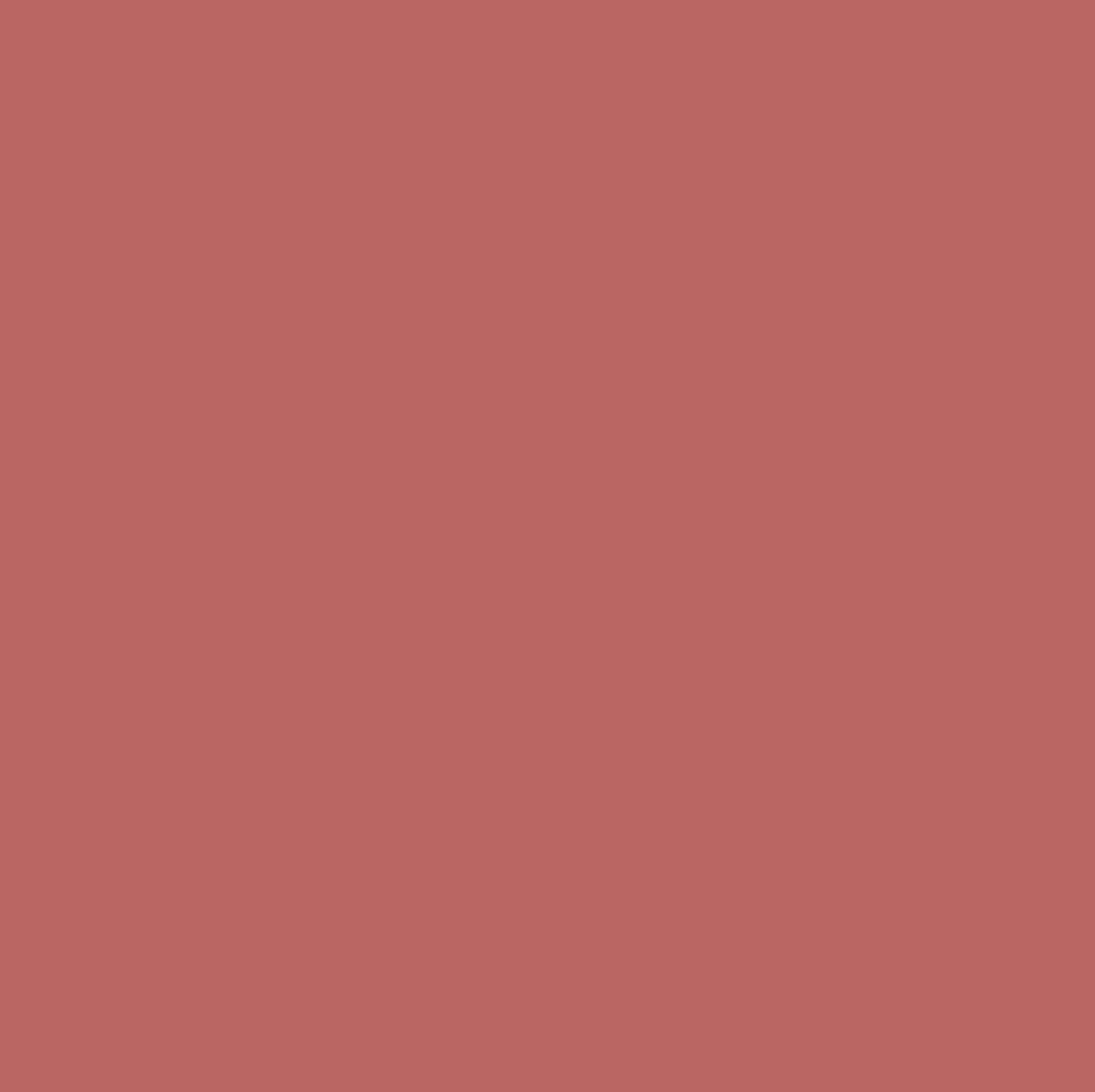 Lipstick - Roseate