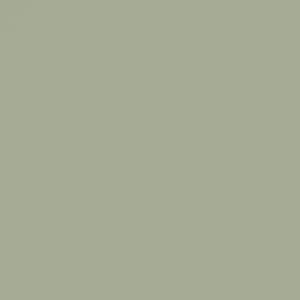 Little Greene Boringdon Green Paint 295