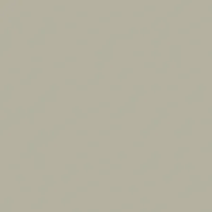 Little Greene French Grey Dark Paint