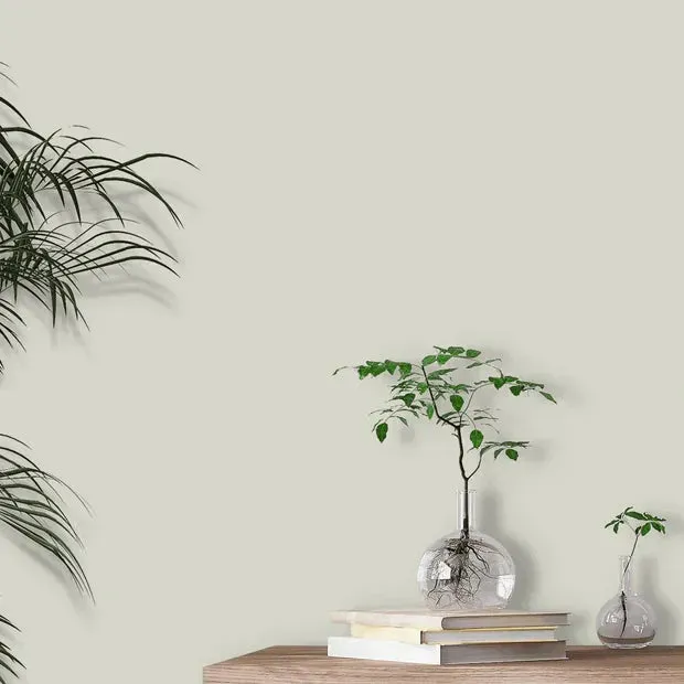Little Greene French Grey Mid Paint 162