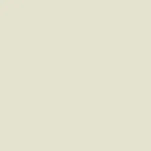 Little Greene Mirror Paint 219