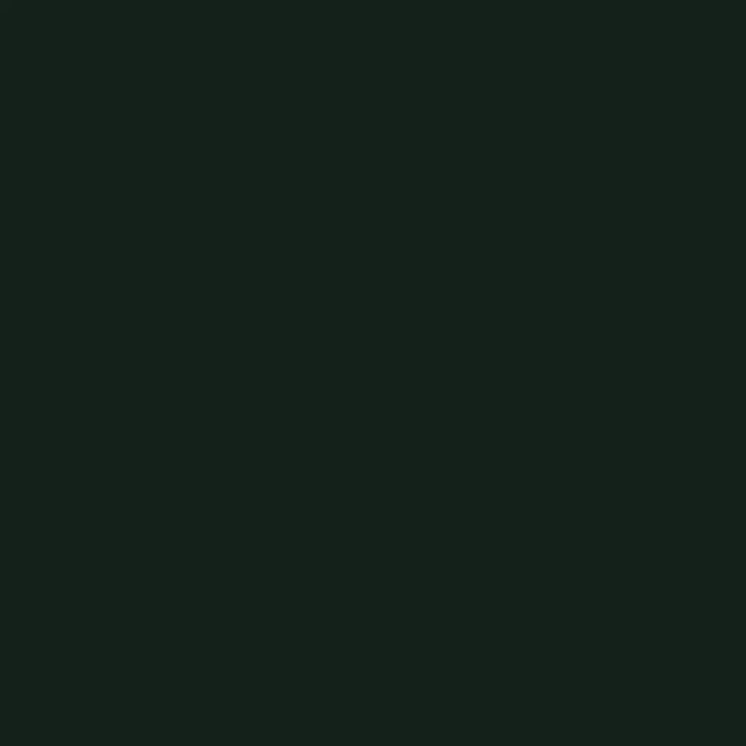 Little Greene Obsidian Green Paint 216