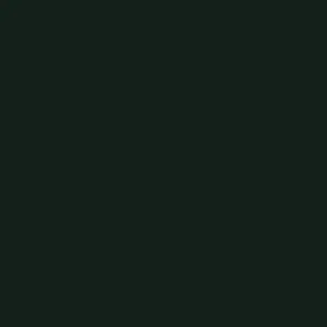 Little Greene Obsidian Green Paint 216