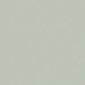 Little Greene Pearl Colour Dark Paint 169