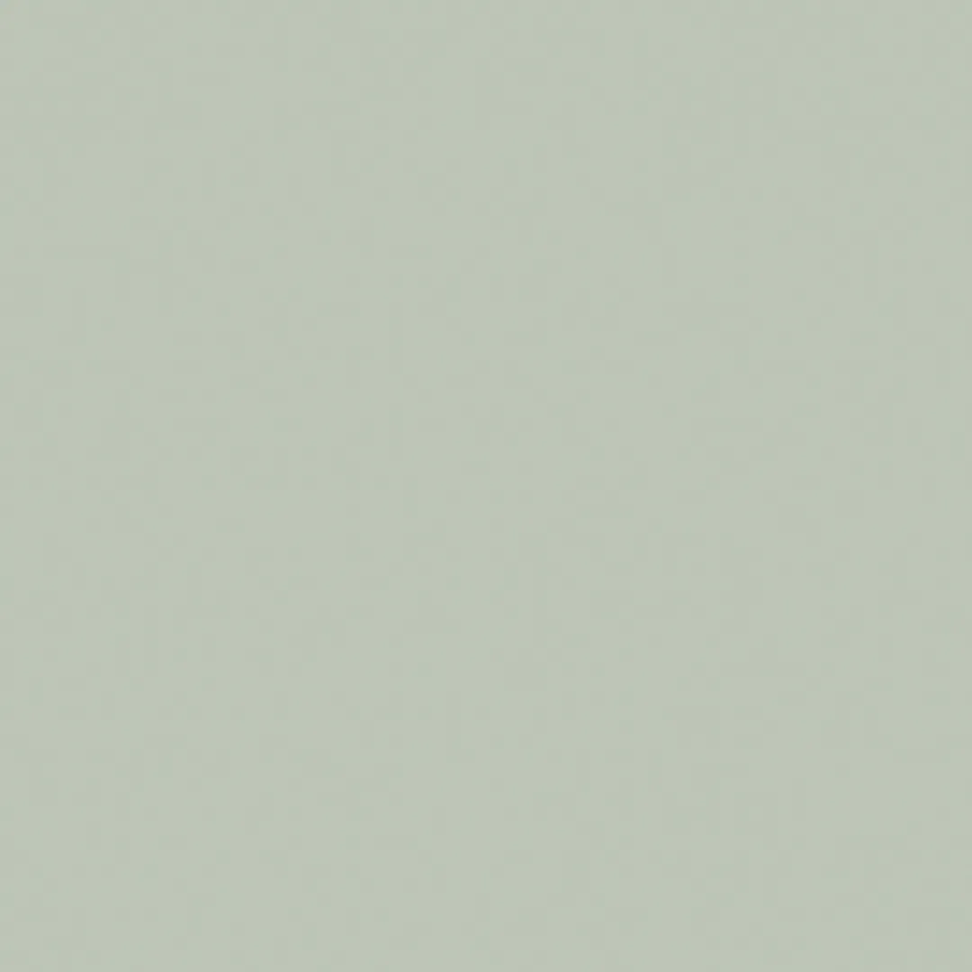Little Greene Pearl Colour Dark Paint 169