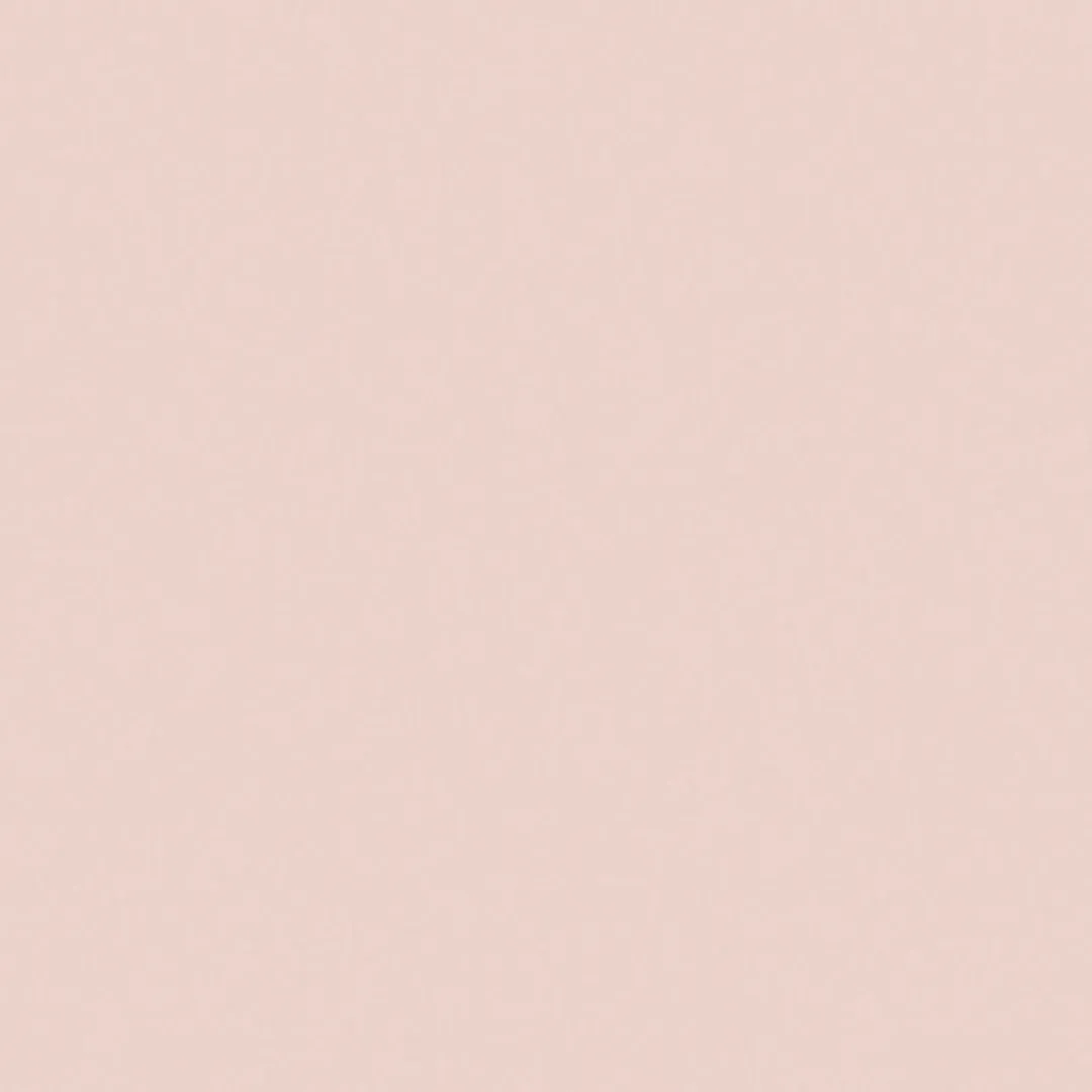Little Greene Pink Slip Paint 220