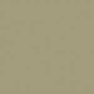 Little Greene Portland Stone Dark Paint 157