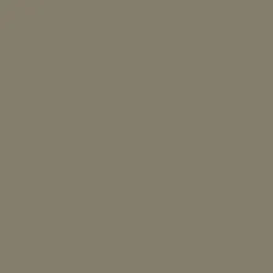 Little Greene Silt Paint 40
