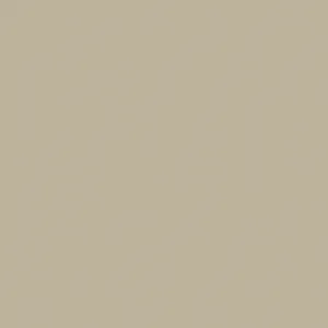 Little Greene Slaked Lime - Dark Paint 151