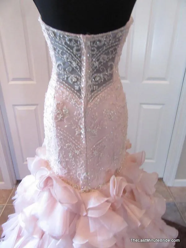 Maggie Sottero Serencia 5MT118 size 8